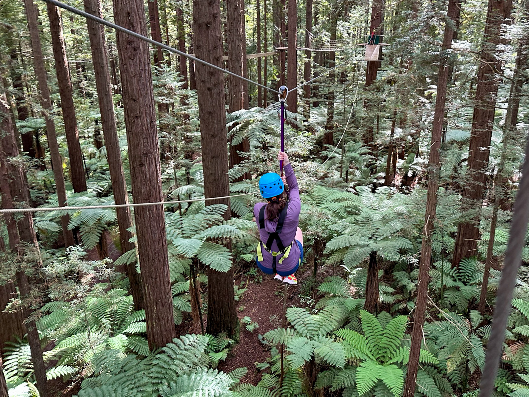 kaitlin-zipline