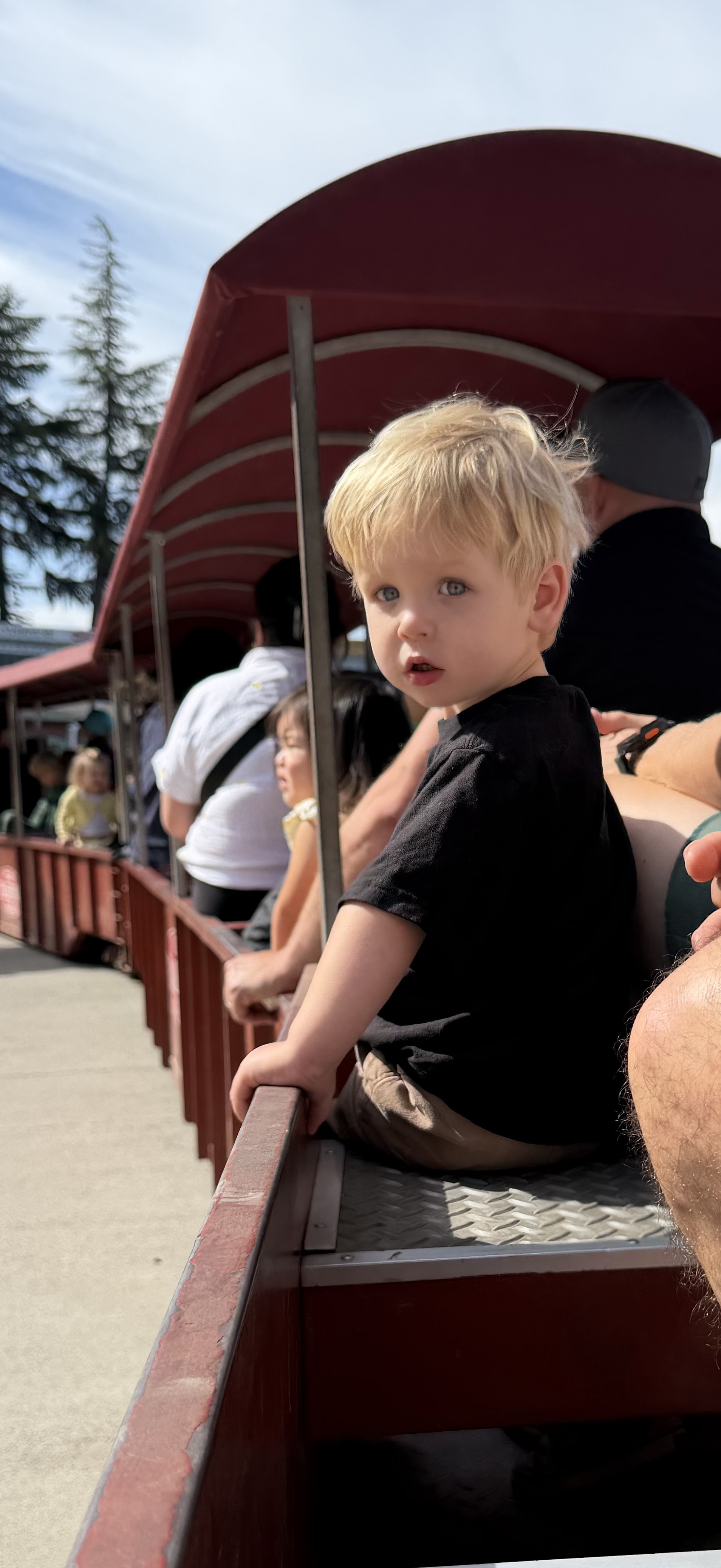 Rory on the train