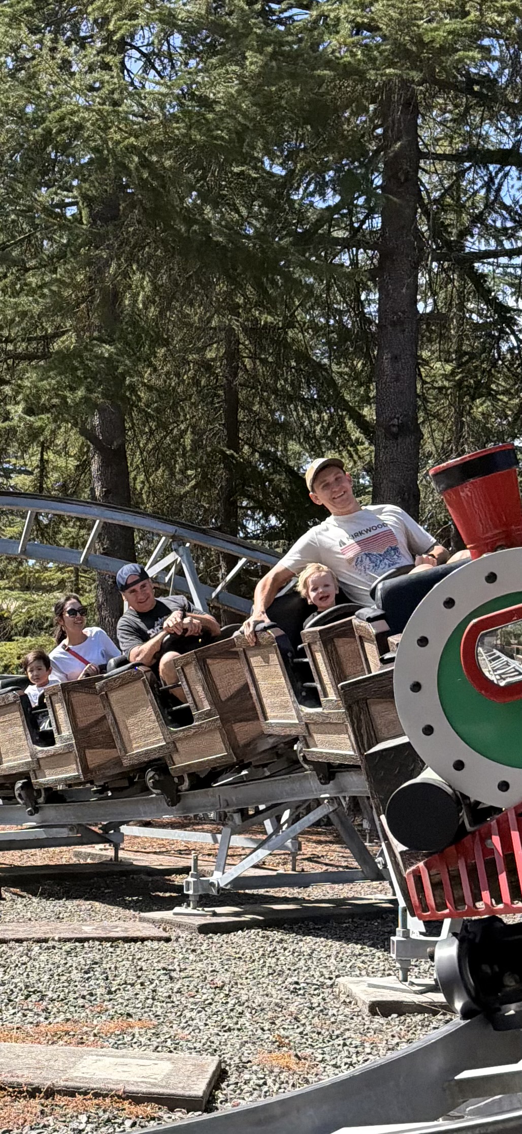 Riding the rollercoaster