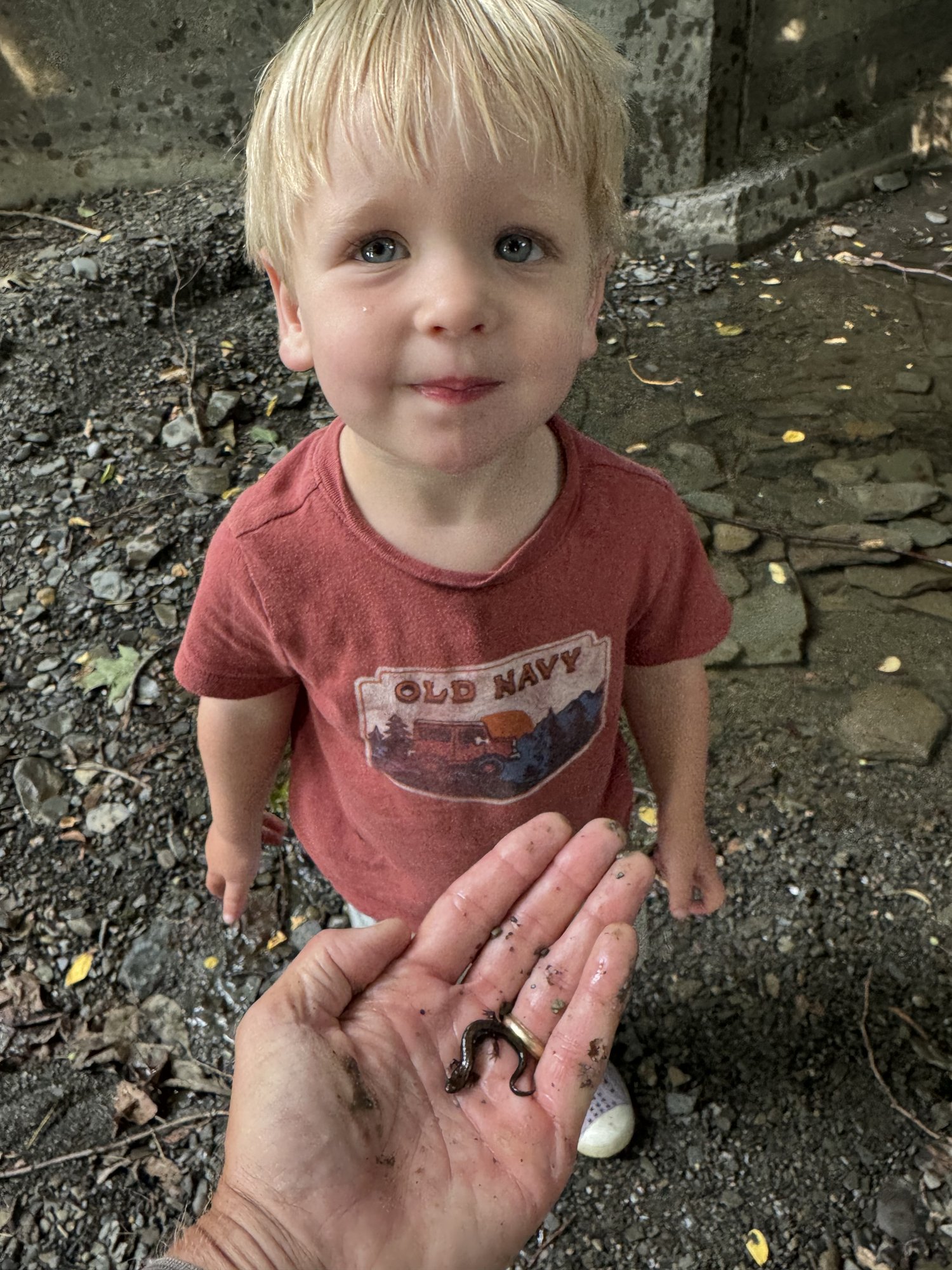 Admiring a salamander