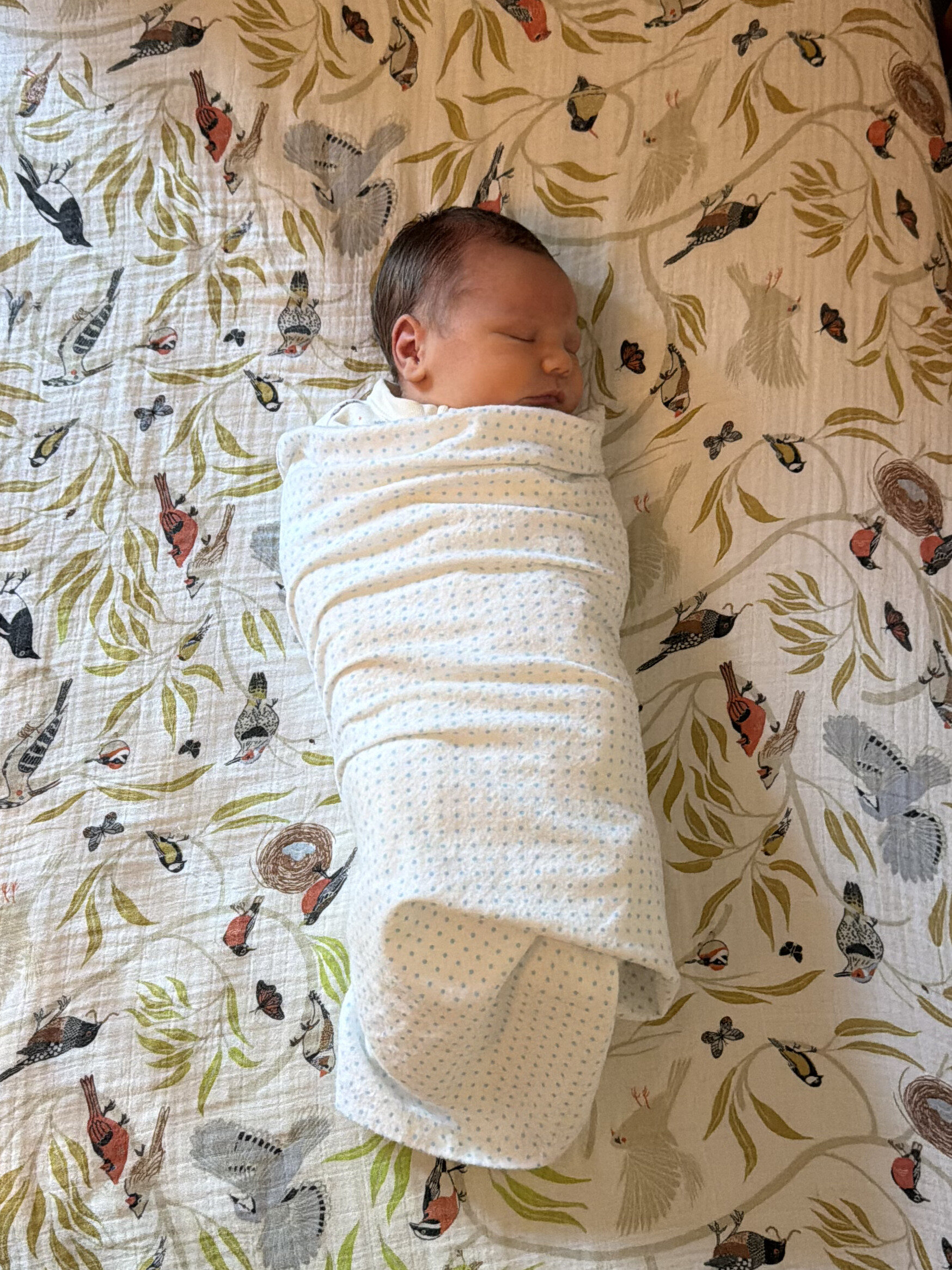 Cameron asleep in his crib at home